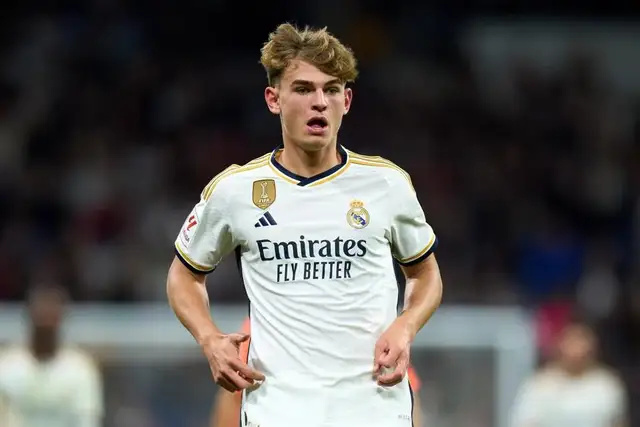 引发了我们 引发了我们